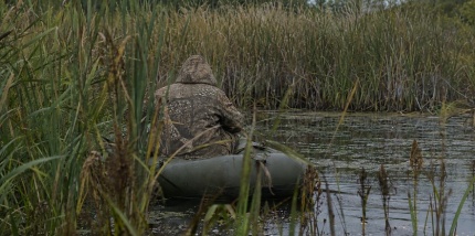 Тише воды