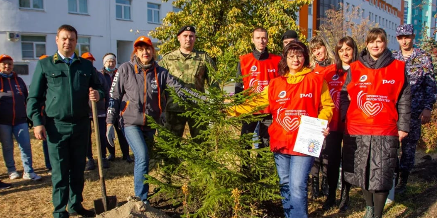 Волонтеры ржд