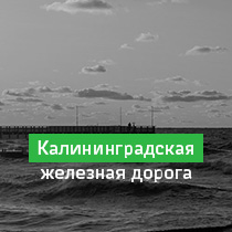 Елена Винниченко