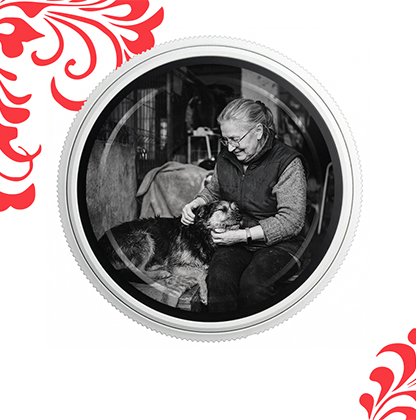 ДОБРОТА В КАДРЕ