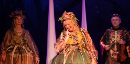 Зимняя сказка от «серебряных» артистов